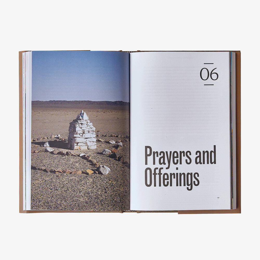Tracking Gobi Grizzlies: Surviving Beyond the Back of Beyond by Doug Chadwick